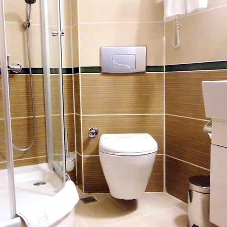 Hotel Sesin 4*