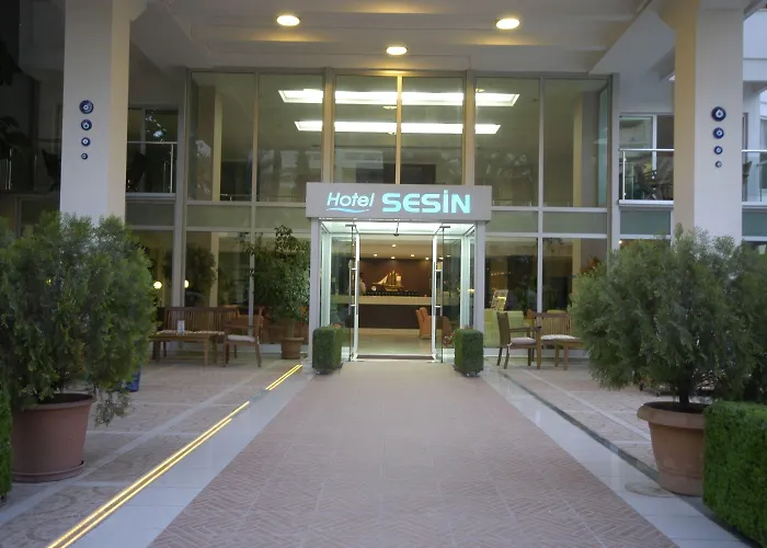 Sesin